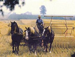 Anson on the Binder, ca 1975